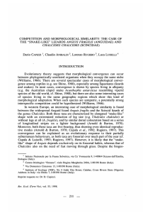 COMPETITION AND  MORPHOLOGICAL SIMILARITY:  THE  CASE ... THE  &#34;SNAKE-LIKE&#34;  LIZARDS ANGUIS  FRAGILIS  (ANGUIDAE) AND