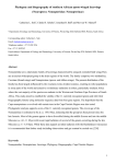 Phylogeny and biogeography of southern African spoon-winged lacewings (Neuroptera: Nemopteridae: Nemopterinae)