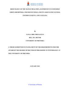 RASTROCOCCUS ICERYOIDES GREEN (HEMIPTERA: PSEUDOCOCCIDAE) AND ITS ASSOCIATED NATURAL