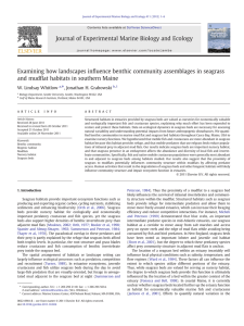 ﬂuence benthic community assemblages in seagrass Examining how landscapes in