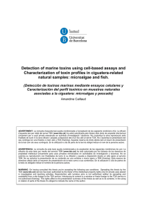 Detection of marine toxins using cell-based assays and