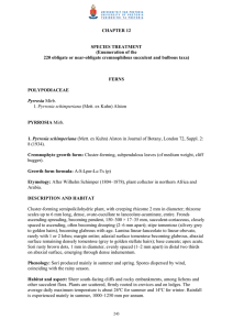 CHAPTER 12  SPECIES TREATMENT (Enumeration of the