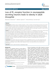 Loss of IP receptor function in neuropeptide Drosophila