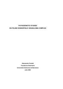 PATHOGENETIC STUDIES ON FELINE EOSINOPHILIC GRANULOMA COMPLEX  Alessandra Fondati