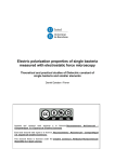 Electric polarization properties of single bacteria measured with electrostatic force microscopy