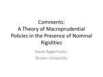 Comments: A Theory of Macroprudential Policies in the Presence of Nominal Rigidities