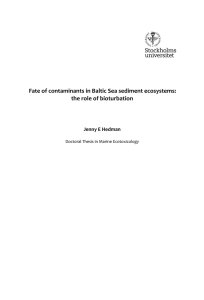      Fate of contaminants in Baltic Sea sediment ecosystems:   the role of bioturbation