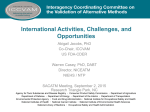 International Activities, Challenges, and Opportunities