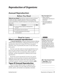 Reproduction of Organisms Asexual Reproduction