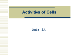 Activities of Cells Quiz 5A