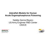 Zebrafish Models for Human Acute Organophosphorus Poisoning Natàlia Garcia-Reyero