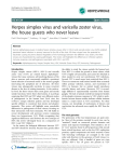 Herpes simplex virus and varicella zoster virus, Open Access