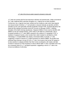  T cells are involved with the host response to infection... αβ T cells, traditional MHC-restricted recognition of