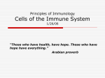 Cells of the Immune System Principles of Immunology 1/26/06