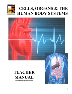CELLS, ORGANS &amp; THE HUMAN BODY SYSTEMS  TEACHER