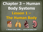 Lesson 1 – The Human Body