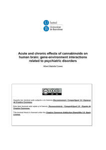 Acute and chronic effects of cannabinoids on human brain: gene-environment interactions