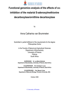 Functional genomics analysis of the effects of co- decarboxylase/ornithine decarboxylase