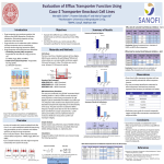 Evaluation of Efflux Transporter Function Using Caco-2 Transporter Knockout Cell Lines