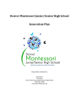 Denver Montessori Junior/Senior High School  Innovation Plan