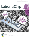 Lab on a Chip www.rsc.org/loc