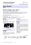 Gene Section COL1A1 (collagen, type I, alpha 1) in Oncology and Haematology