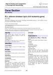 Gene Section ELL (eleven nineteen lysin rich leukemia gene)