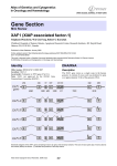 Gene Section XAF1 (XIAP associated factor-1) Atlas of Genetics and Cytogenetics