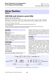 Gene Section CDC25A (cell division cycle 25A) Atlas of Genetics and Cytogenetics
