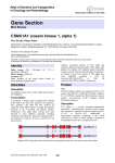 Gene Section CSNK1A1 (casein kinase 1, alpha 1) in Oncology and Haematology