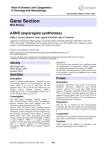 Gene Section ASNS (asparagine synthetase) Atlas of Genetics and Cytogenetics