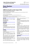 Gene Section UBE3A (ubiquitin protein ligase E3A) Atlas of Genetics and Cytogenetics