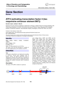 Gene Section ATF4 (activating transcription factor 4 (tax responsive enhancer element B67)) -