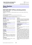 Gene Section RAP1GAP (RAP1 GTPase activating protein) Atlas of Genetics and Cytogenetics