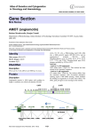 Gene Section AMOT (angiomotin)  Atlas of Genetics and Cytogenetics
