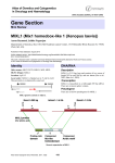 Gene Section MIXL1 (Mix1 homeobox like 1 (Xenopus laevis)) -