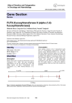 Gene Section FUT8 (fucosyltransferase 8 (alpha (1,6) fucosyltransferase))