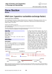 Gene Section VAV3 (vav 3 guanine nucleotide exchange factor)