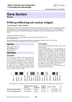 Gene Section PCNA (proliferating cell nuclear antigen)  Atlas of Genetics and Cytogenetics