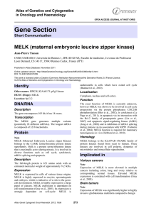 Gene Section MELK (maternal embryonic leucine zipper kinase) in Oncology and Haematology