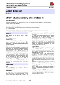 Gene Section DUSP1 (dual specificity phosphatase 1) Atlas of Genetics and Cytogenetics