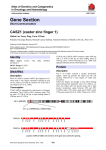 Gene Section CASZ1 (castor zinc finger 1) Atlas of Genetics and Cytogenetics