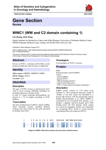 Gene Section WWC1 (WW and C2 domain containing 1)