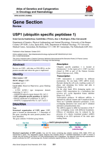 Gene Section USP1 (ubiquitin specific peptidase 1) Atlas of Genetics and Cytogenetics