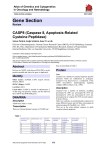 Gene Section CASP8 (Caspase 8, Apoptosis-Related Cysteine Peptidase) Atlas of Genetics and Cytogenetics