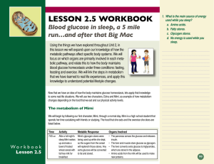 LESSON 2.5 WORKBOOK Blood glucose in sleep, a 5 mile