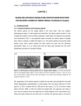 Ornithodoros savignyi CHAPTER 2  SIGNALING PATHWAYS REGULATING PROTEIN SECRETION FROM