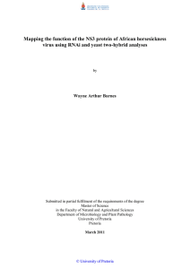 Mapping the function of the NS3 protein of African horsesickness