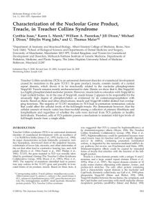 Characterization of the Nucleolar Gene Product, Treacle, in Treacher Collins Syndrome