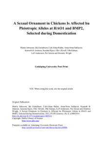 A Sexual Ornament in Chickens Is Affected bu Selected during Domestication